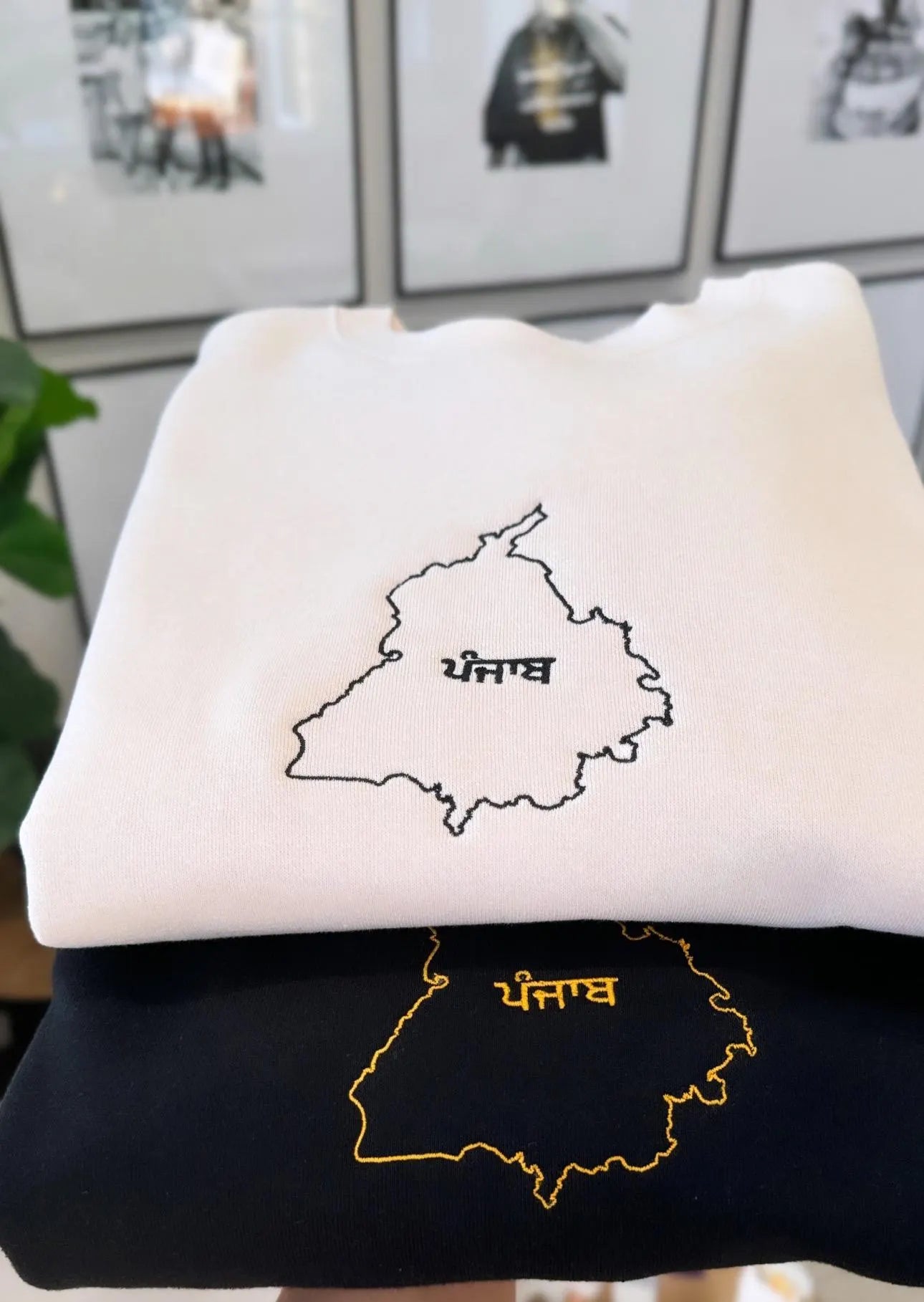 Punjab Map